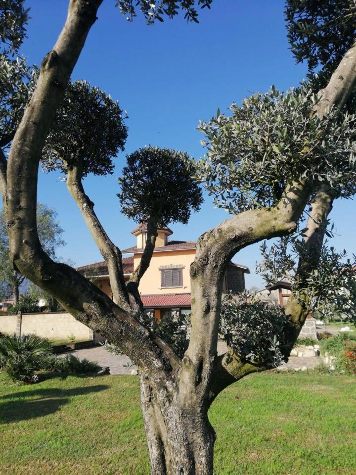 Ponte Vestilli B&B Limatola Kültér fotó